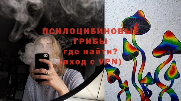 PSILOCYBIN Корсаков