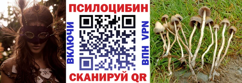 кракен tor  Артём  Галлюциногенные грибы Magic Shrooms  хочу наркоту 